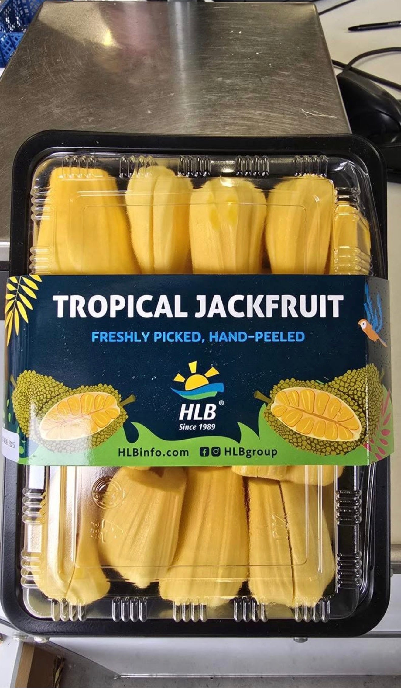 Tropical Jackfruit