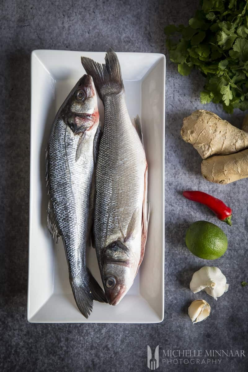 Sea bass