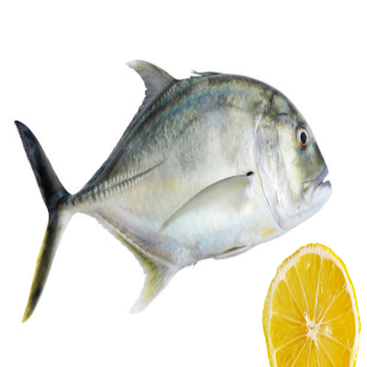 Travally Fish - Fresh Vatta 1 Kg
