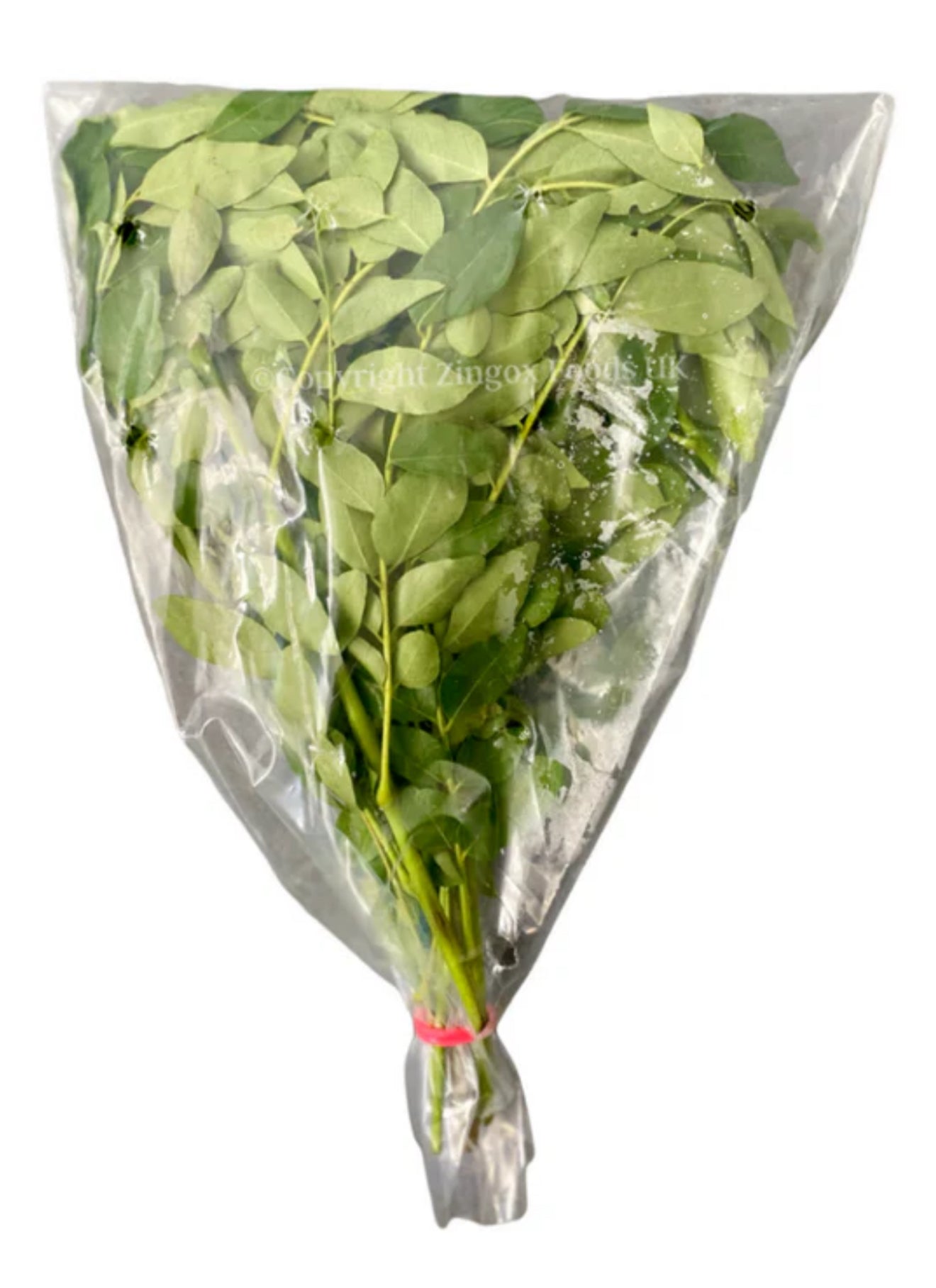 Curry Leaves