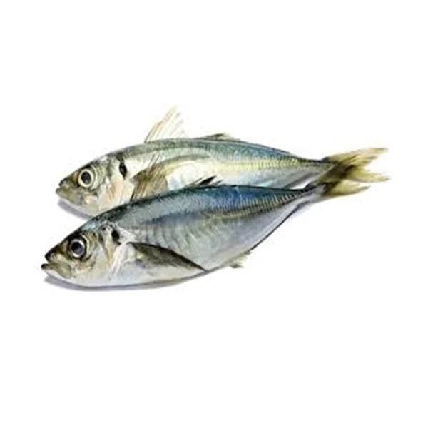 Indian Jack fish(12.49/Kg)