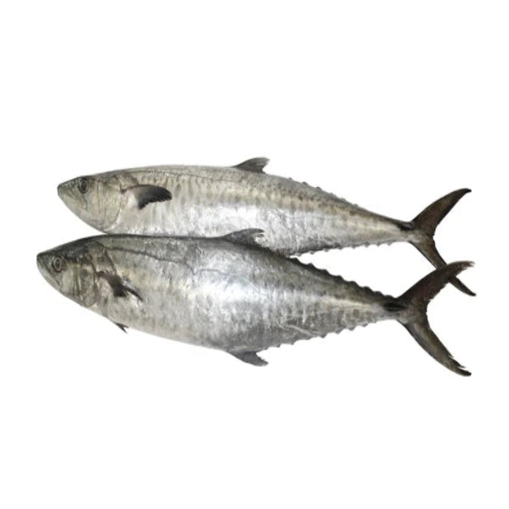 King Fish/Neimenn £15.99/kg
