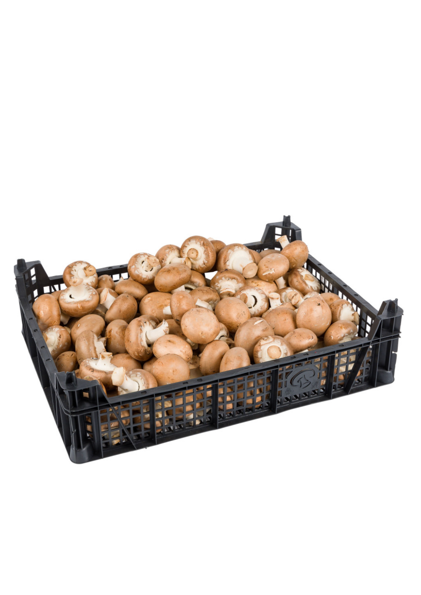Mushrooms