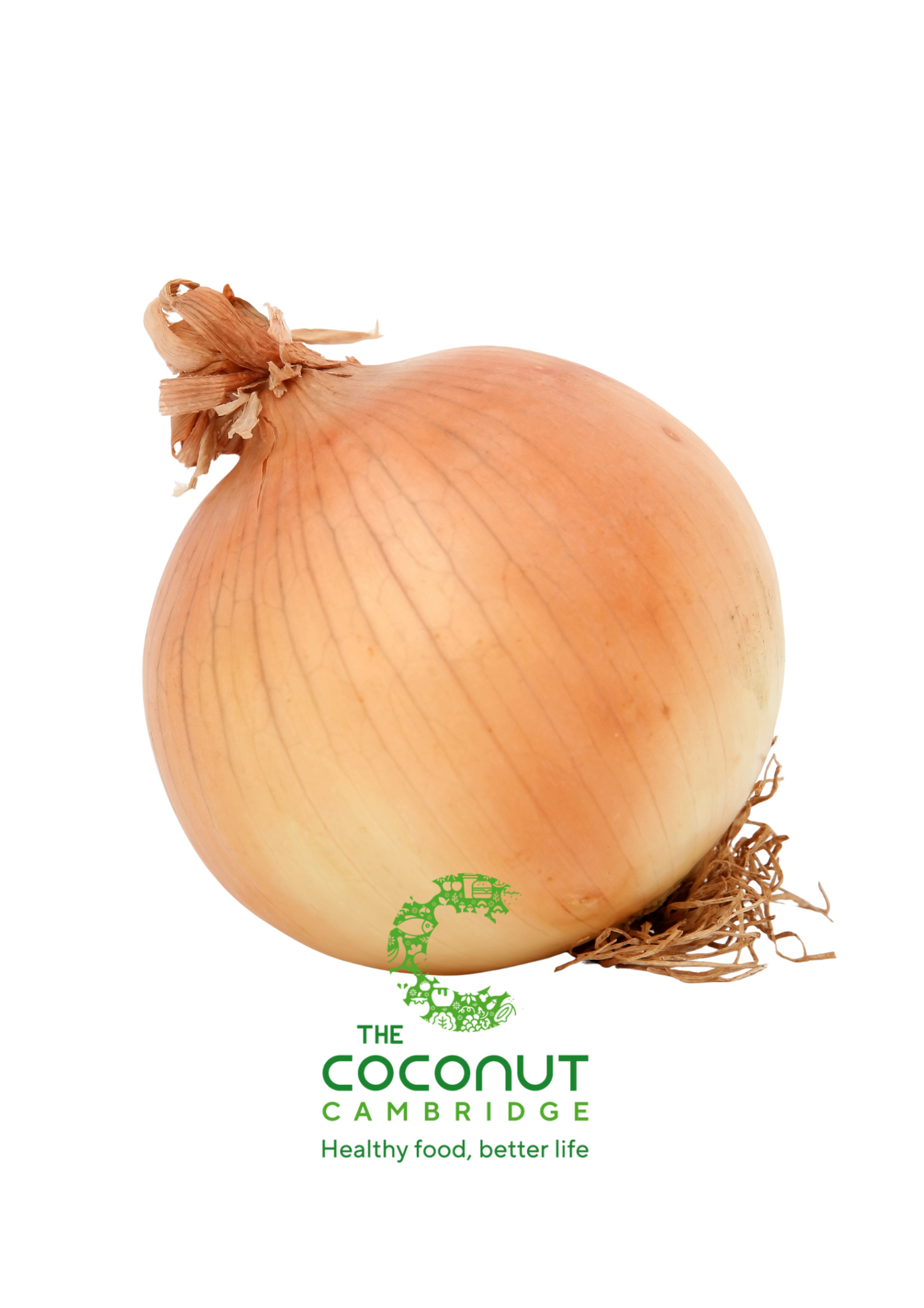 White Onion