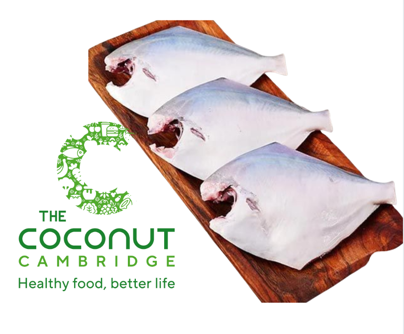 White Pomfret