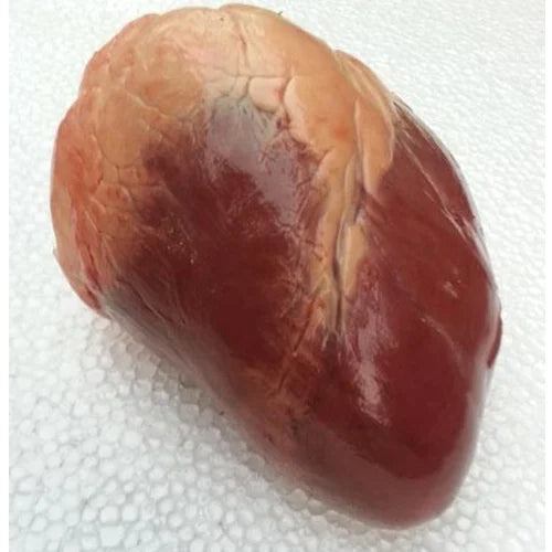 BUFFALO HEART