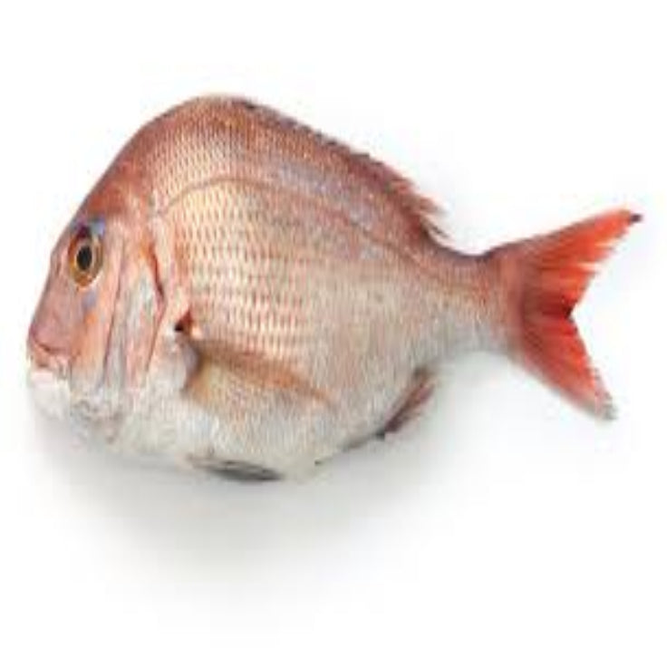 Red Groupe/Chenkalava(17.99/Kg)