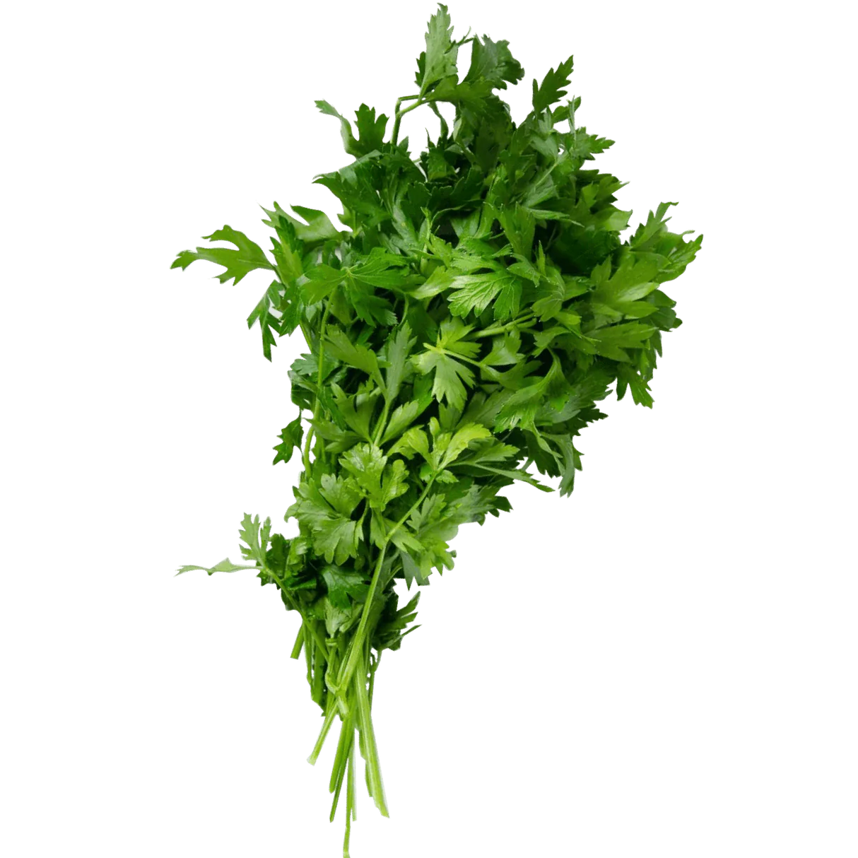 Parsley Bunch