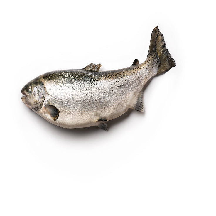 Sardines 3kg+