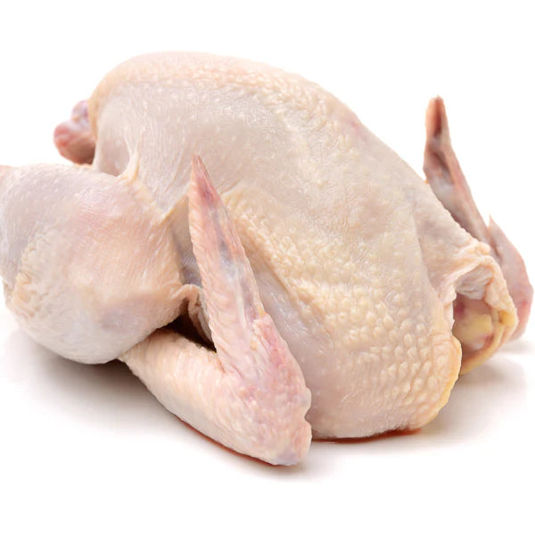 MALE HARD CHICKEN 1 Kg