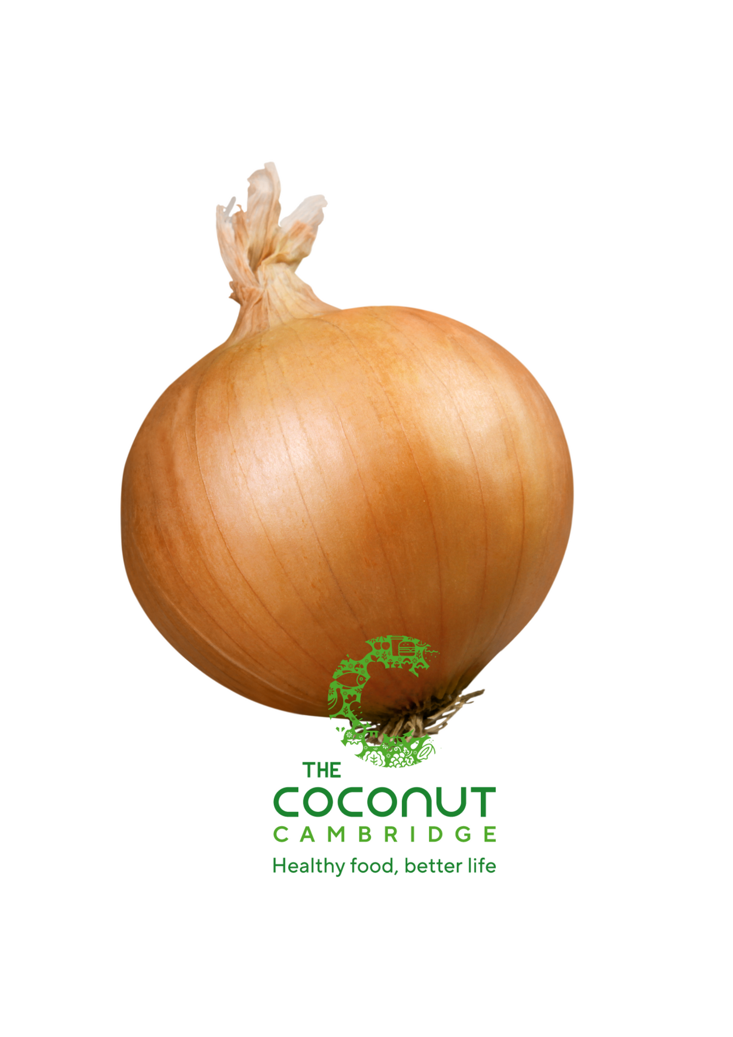 White Onion