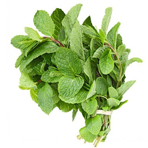 Mint 1 kg 7 Bunches