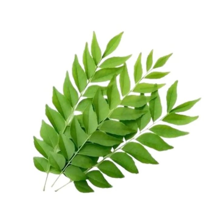 Curry Leaves packet