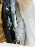 Tuna Fish ( Chura)