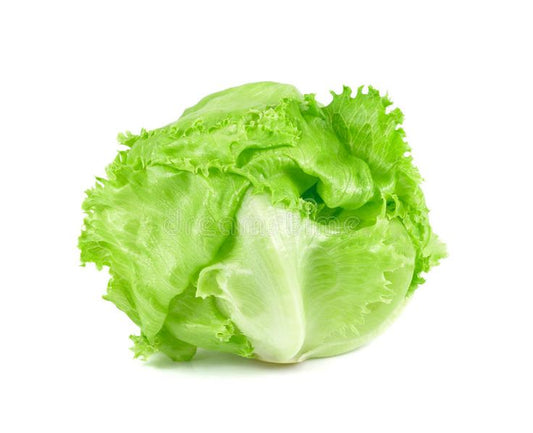 Iceberg Lettuce 1 kg