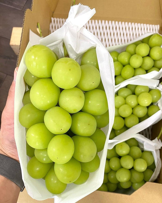 Grape south africa