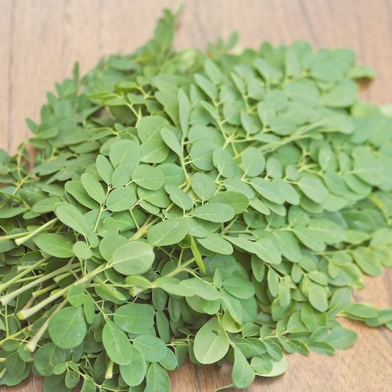 Drumstick Leaves (Moringa Leaves) 250g