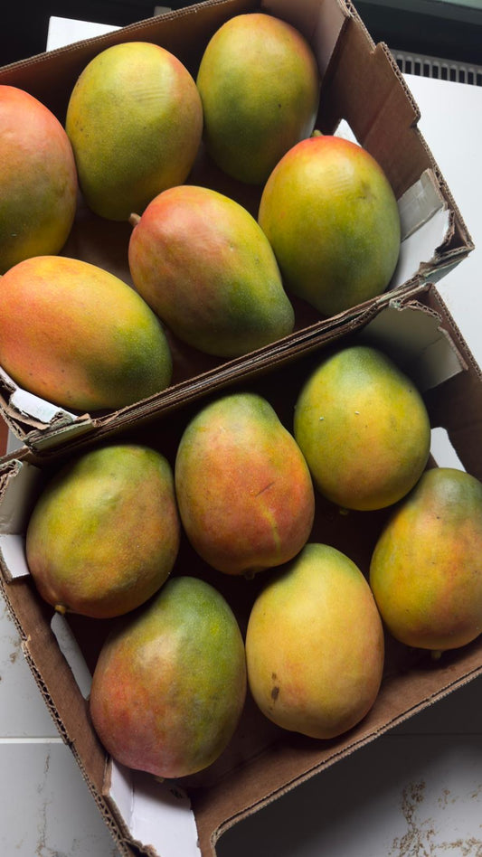 Large mangos