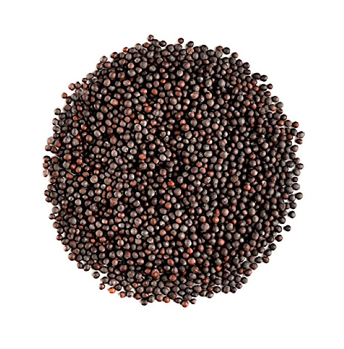 Mustard Seed Kitchen Treasures