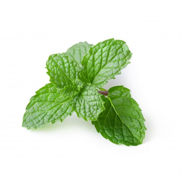 Mint leaves