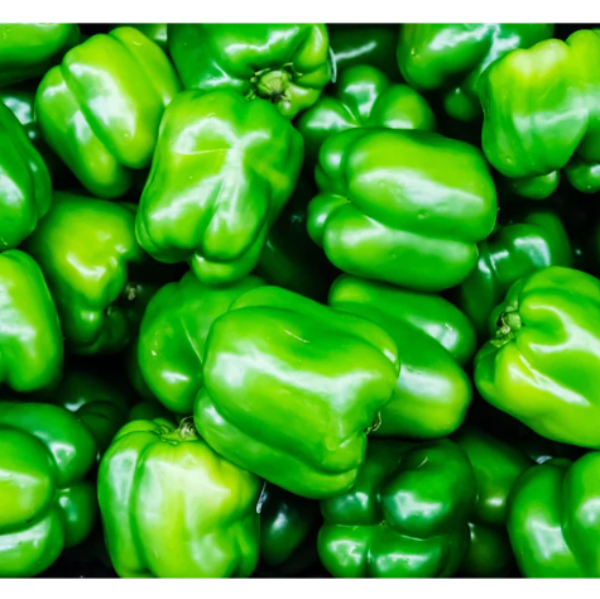 Green Pepper