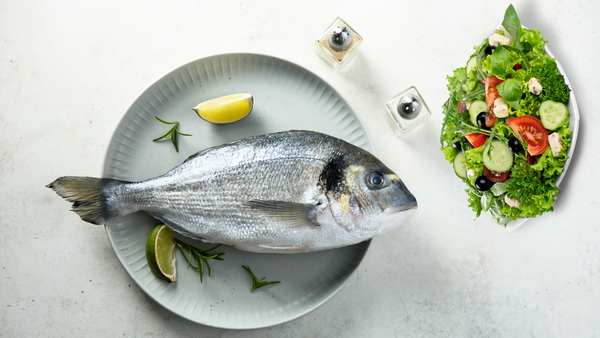 Sea Bream