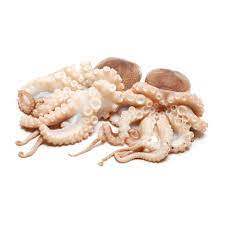 Octopus 1kg+